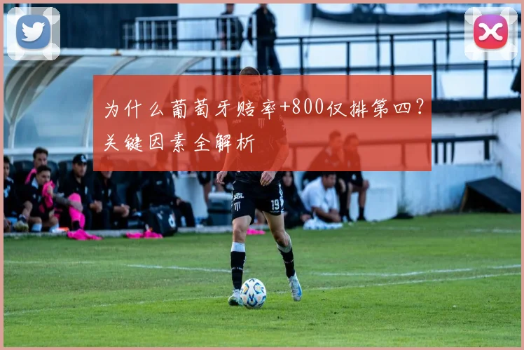 为什么葡萄牙赔率+800仅排第四？关键因素全解析